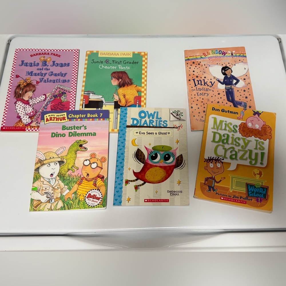 Children's CHAPTER BOOKS / Young Readers / set of 6 books / Gently used